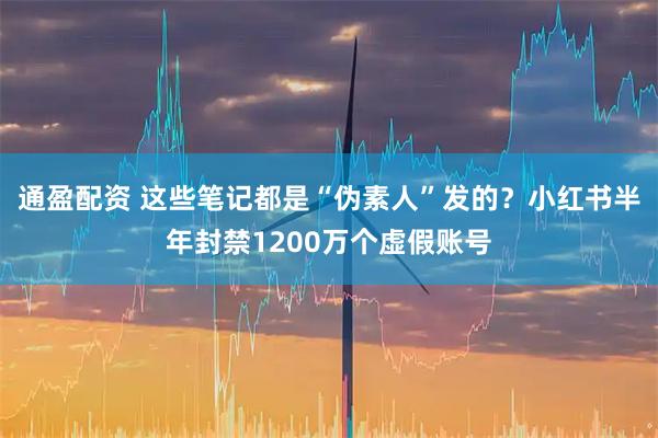 通盈配资 这些笔记都是“伪素人”发的？小红书半年封禁1200万个虚假账号