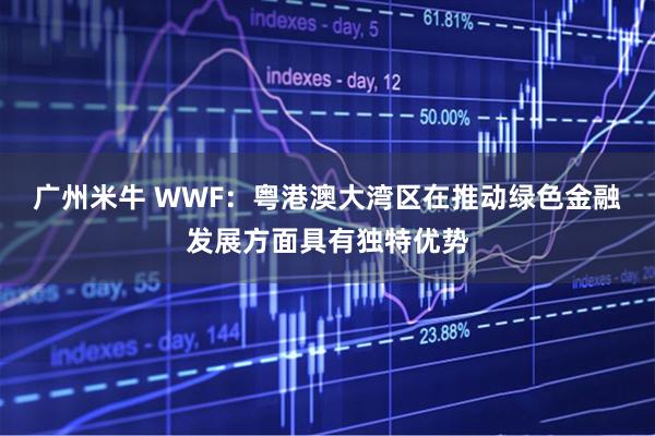广州米牛 WWF：粤港澳大湾区在推动绿色金融发展方面具有独特优势