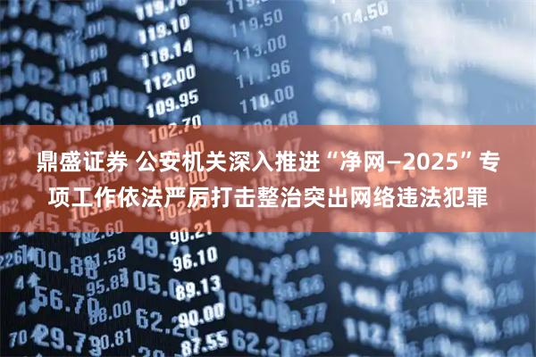 鼎盛证券 公安机关深入推进“净网—2025”专项工作依法严厉打击整治突出网络违法犯罪