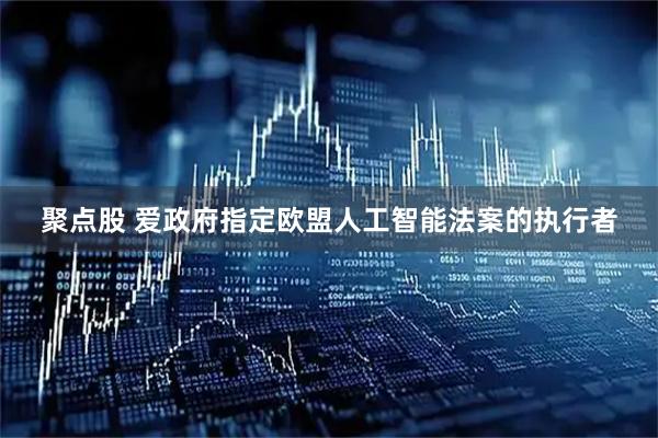 聚点股 爱政府指定欧盟人工智能法案的执行者