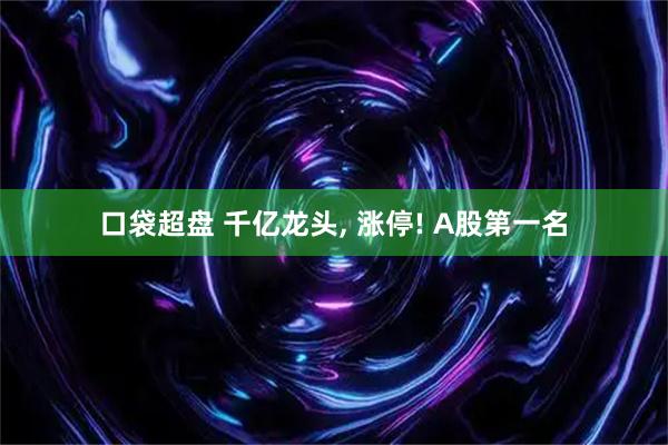 口袋超盘 千亿龙头, 涨停! A股第一名