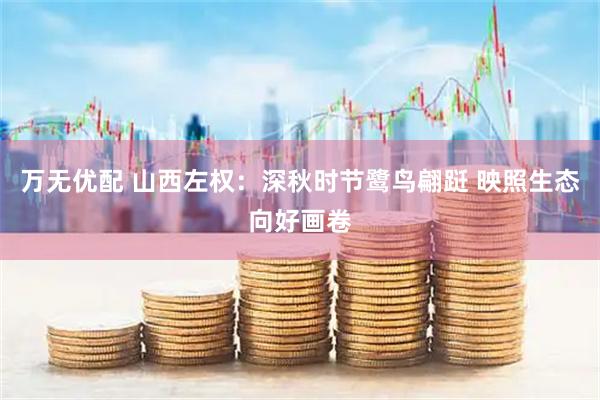 万无优配 山西左权：深秋时节鹭鸟翩跹 映照生态向好画卷