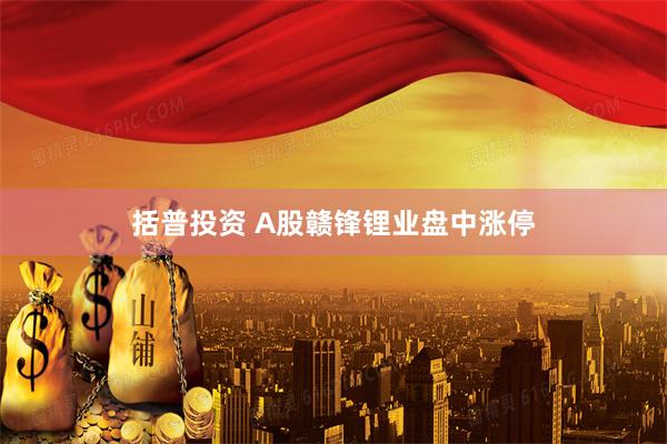 括普投资 A股赣锋锂业盘中涨停